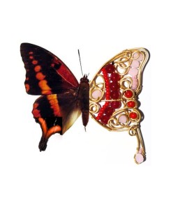 Crimson Butterfly Earrings in Coral, Red Jade, glass beads & brass