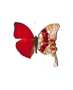 Crimson Butterfly Earrings in Coral, Red Jade, glass beads & brass