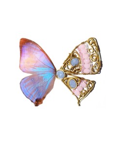 Faye Butterfly Earrings