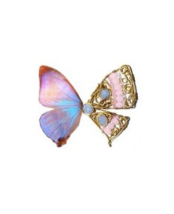 Faye Butterfly Earrings